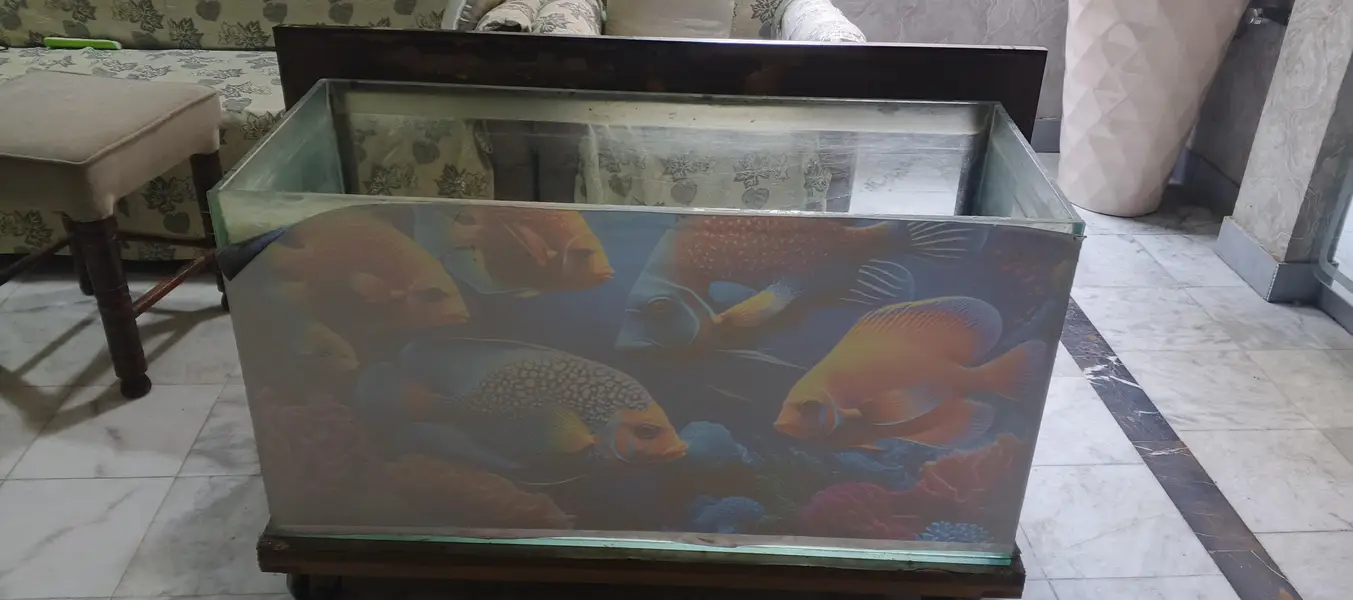 fish Equrium — photo 3