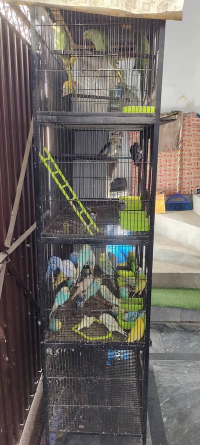 Cage for sale