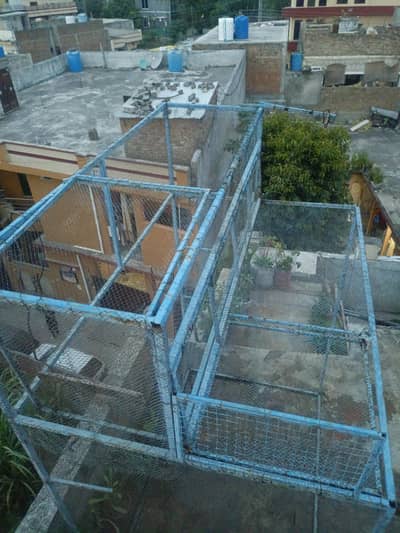 pigeon  cages