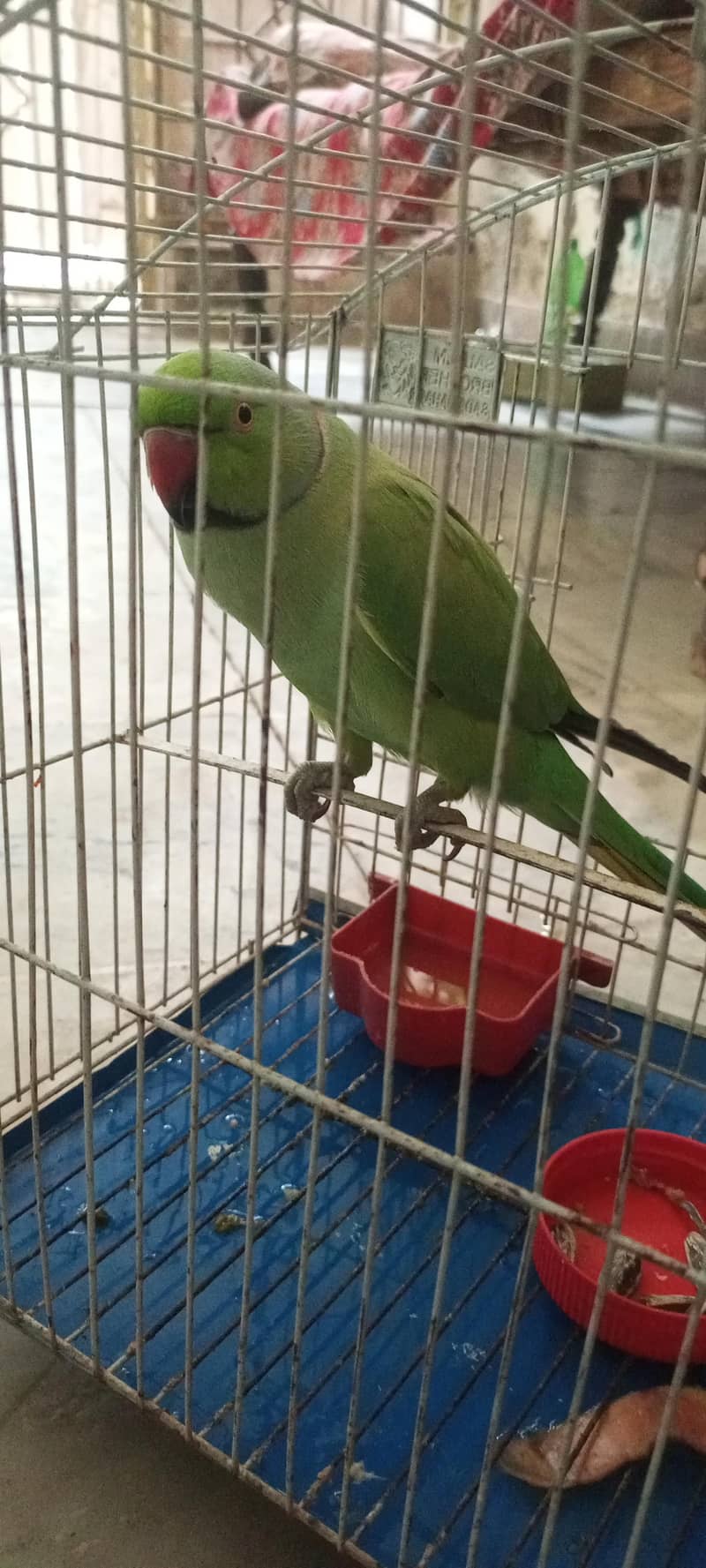 mithu 0