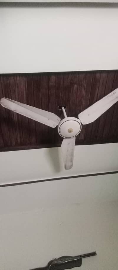 fan for sale