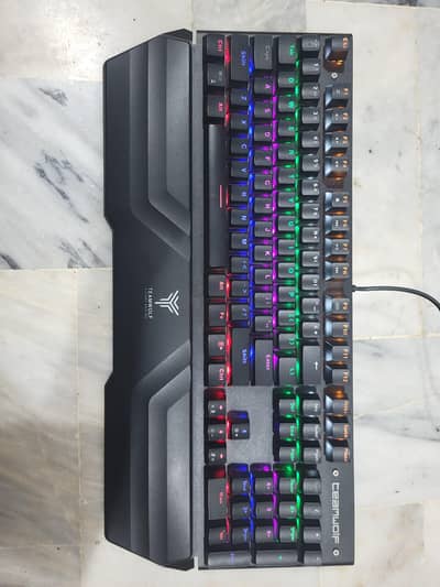 Gaming Keyboard and Mouse Branded in 10/10 condition(read description)