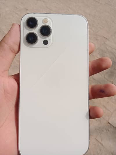 12 pro max