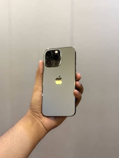 iPhone13 Pro Waterpack 98health Price Fix