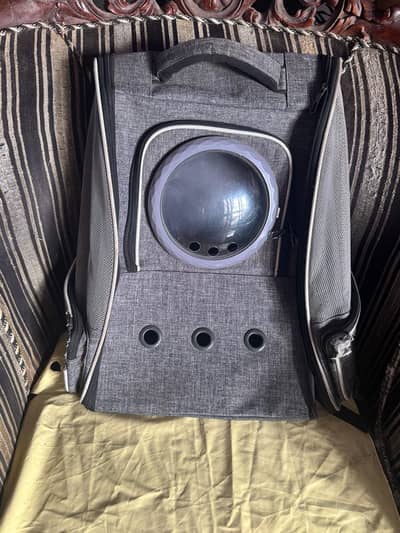 cat acessori new preloved
