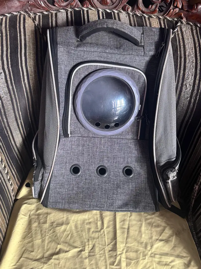cat acessori new preloved — photo 2
