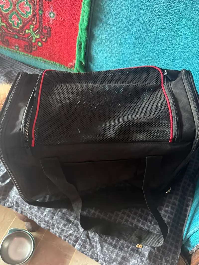 cat acessori new preloved — photo 4