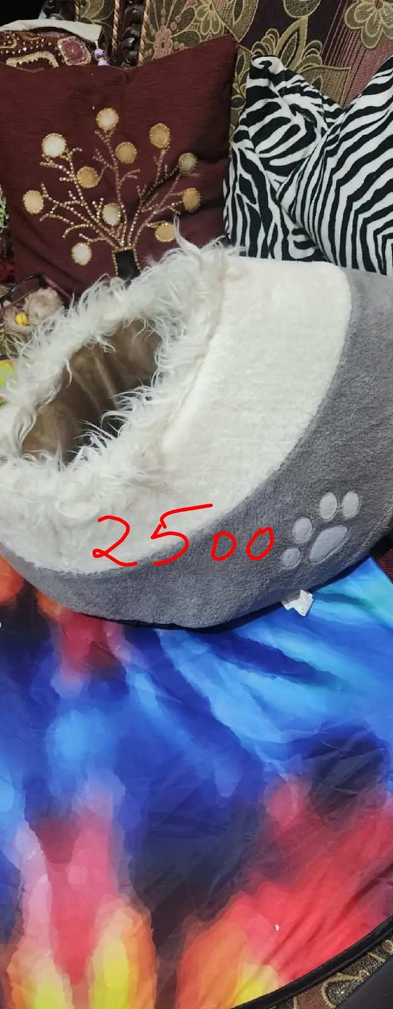 cat acessori new preloved — photo 5