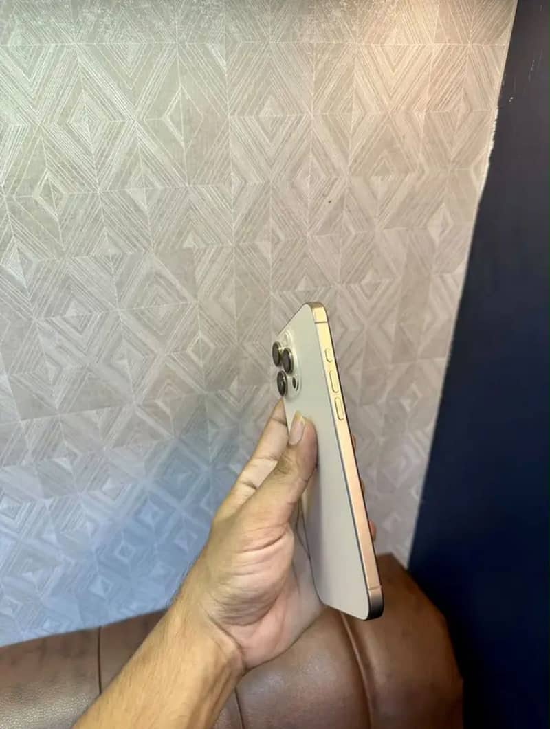 Apple iPhone 16 Pro Max 2