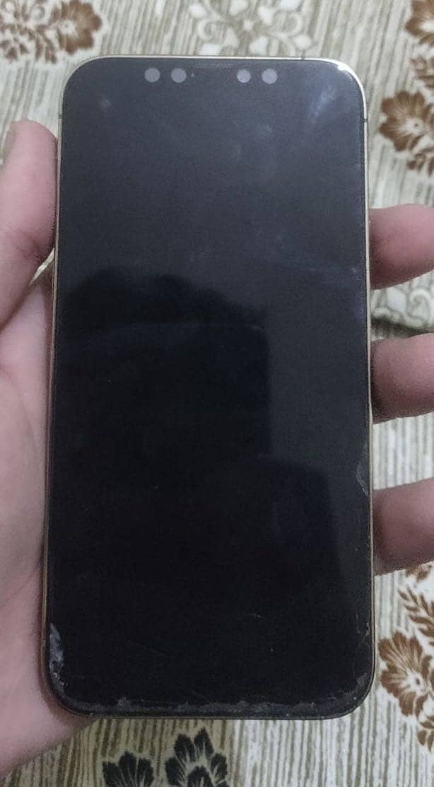 Apple iPhone 12 Pro 1