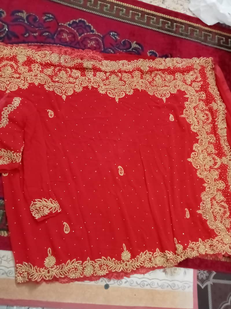 saari 1