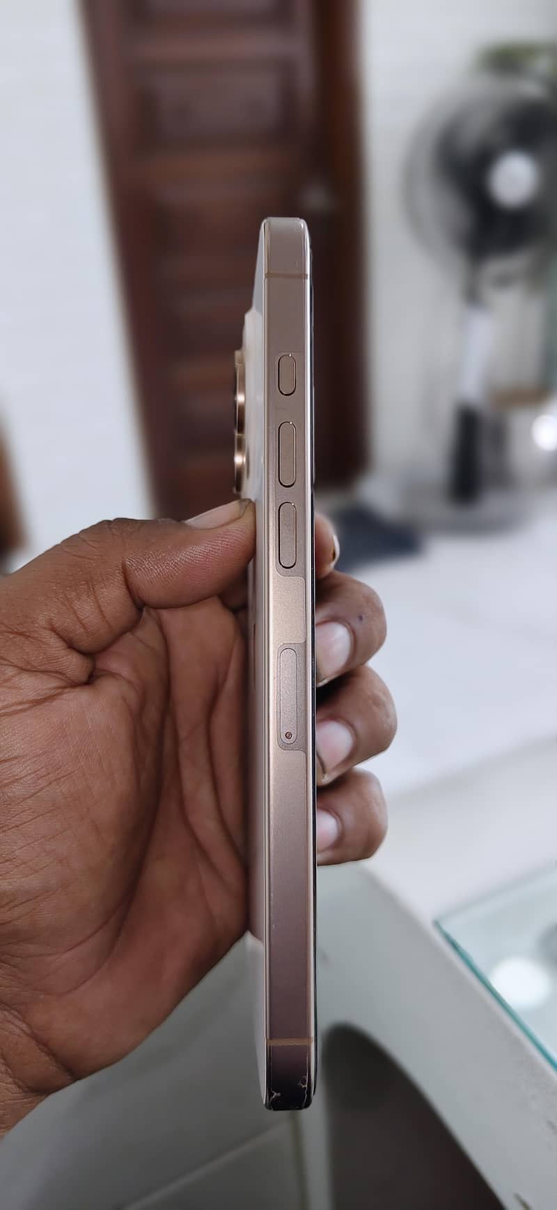 Apple iPhone 16 Pro Max 1