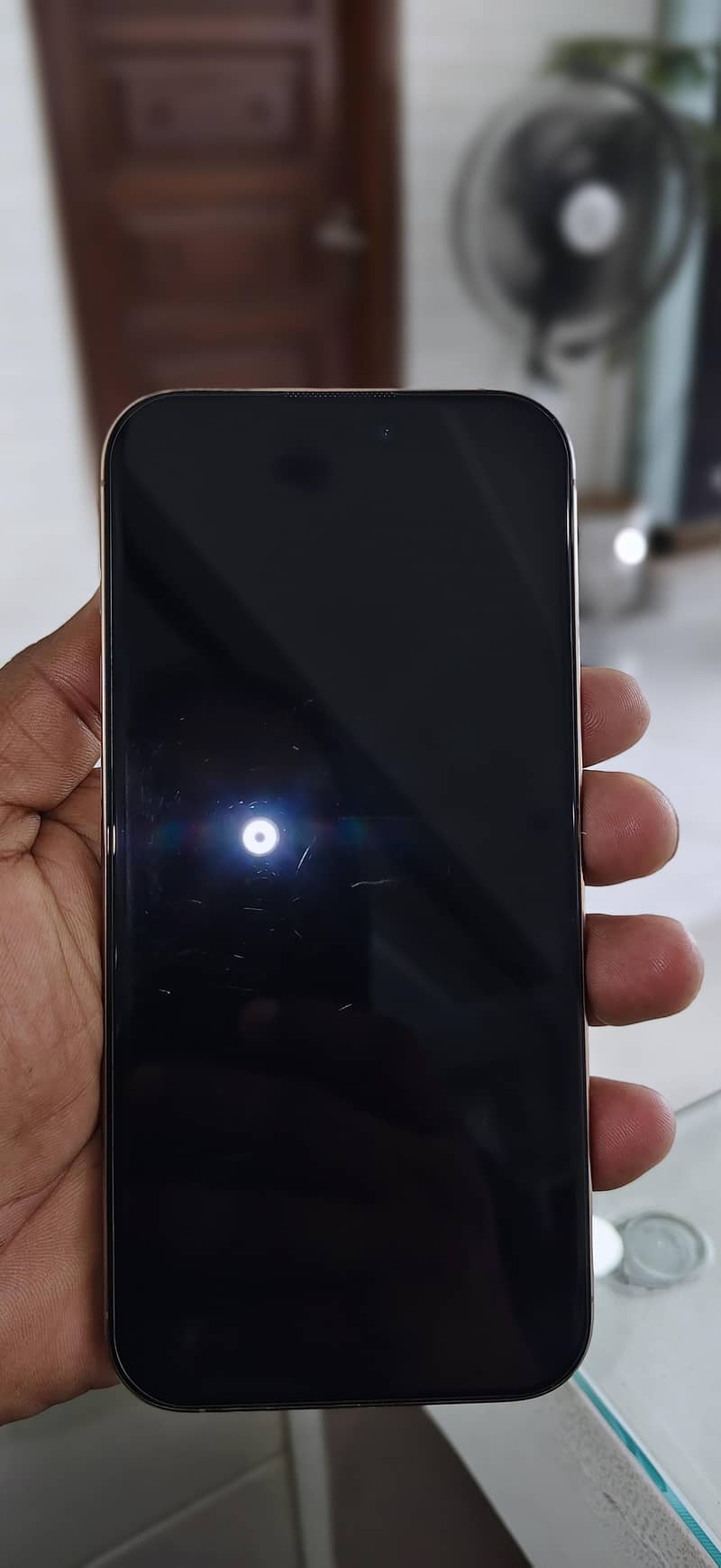 Apple iPhone 16 Pro Max 4
