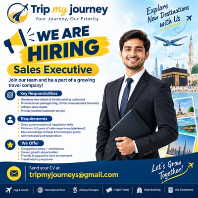Travel Consultant