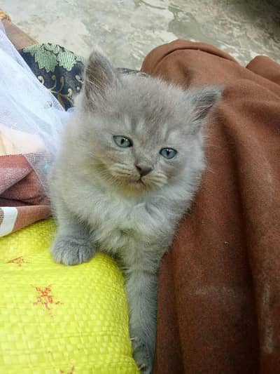 For sale