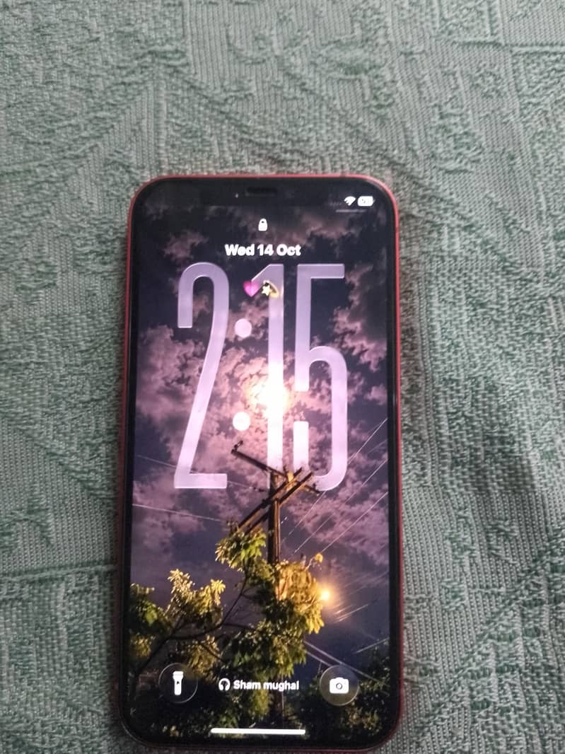 Apple iPhone 12 1