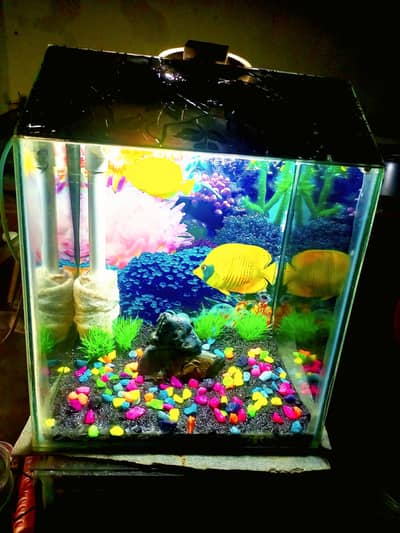 all size aquarium available and customer aquarium and set aquarium
