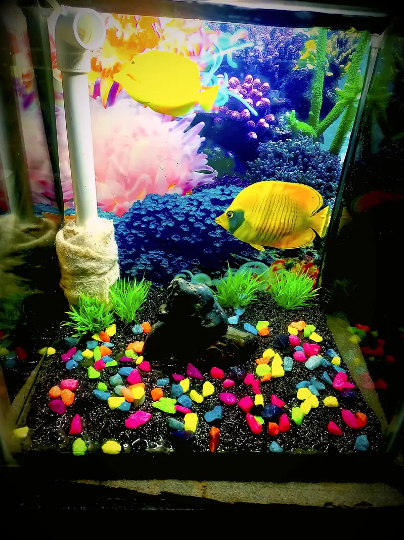 all size aquarium available and customer aquarium and set aquarium — photo 3