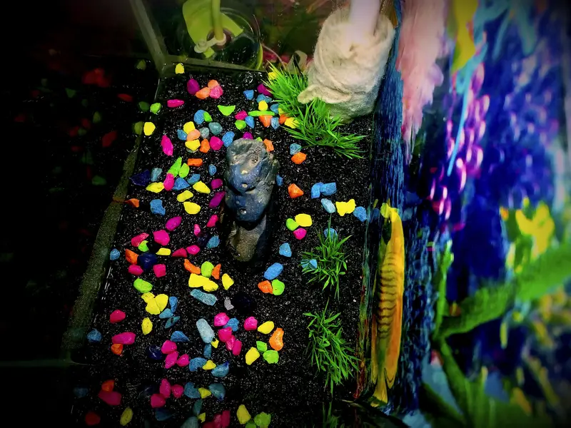 all size aquarium available and customer aquarium and set aquarium — photo 4