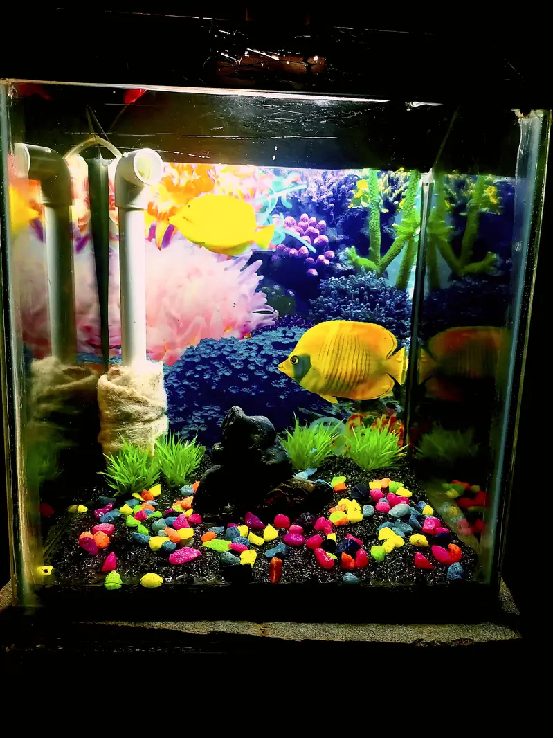 all size aquarium available and customer aquarium and set aquarium — photo 5