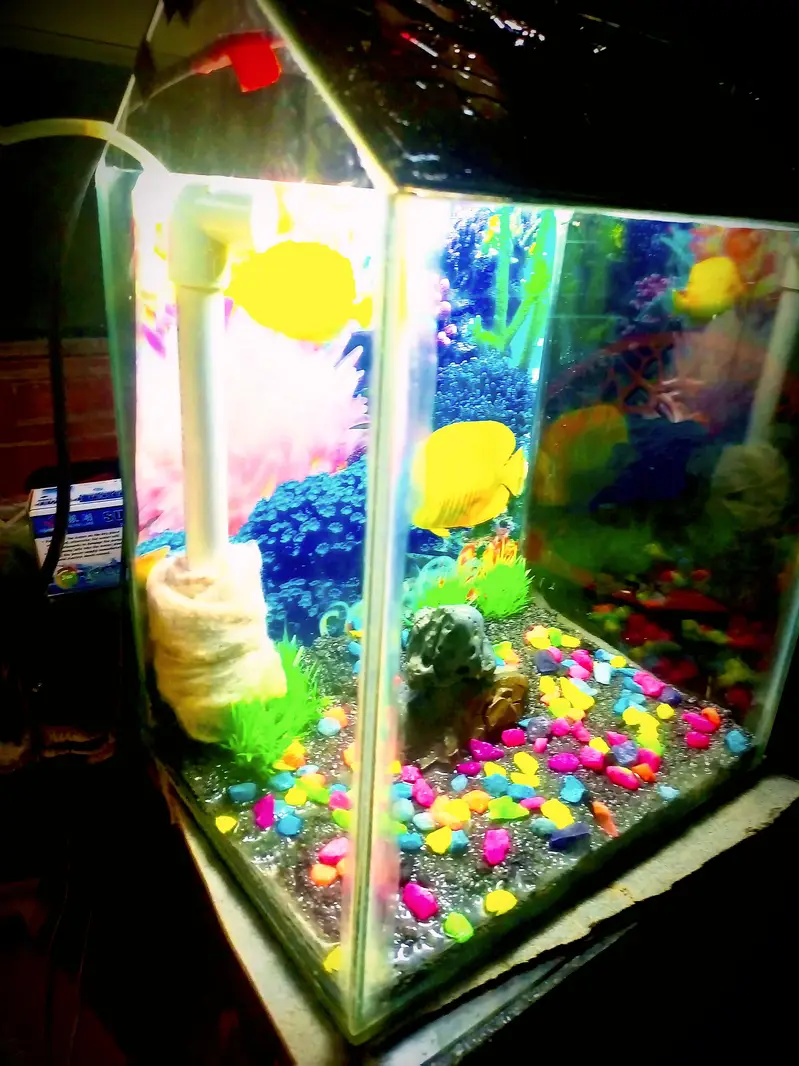 all size aquarium available and customer aquarium and set aquarium — photo 6