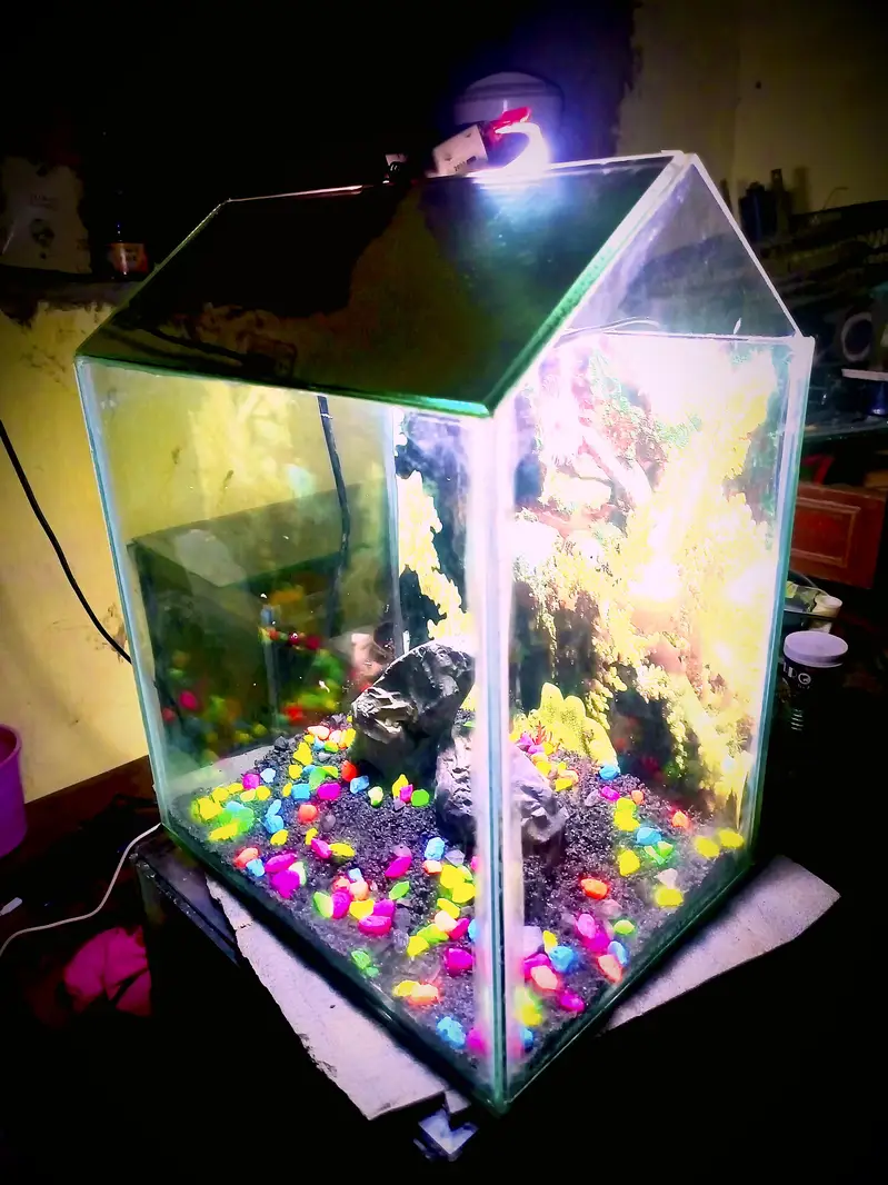 all size aquarium available and customer aquarium and set aquarium — photo 7