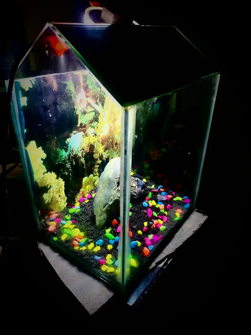 all size aquarium available and customer aquarium and set aquarium — photo 9