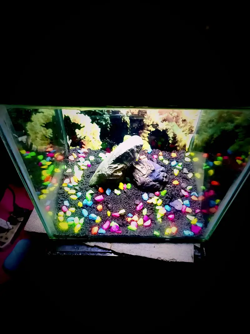 all size aquarium available and customer aquarium and set aquarium — photo 10