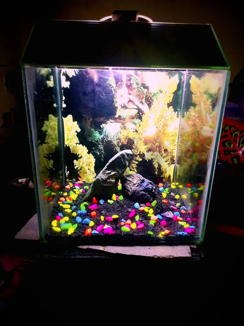 all size aquarium available and customer aquarium and set aquarium — photo 11