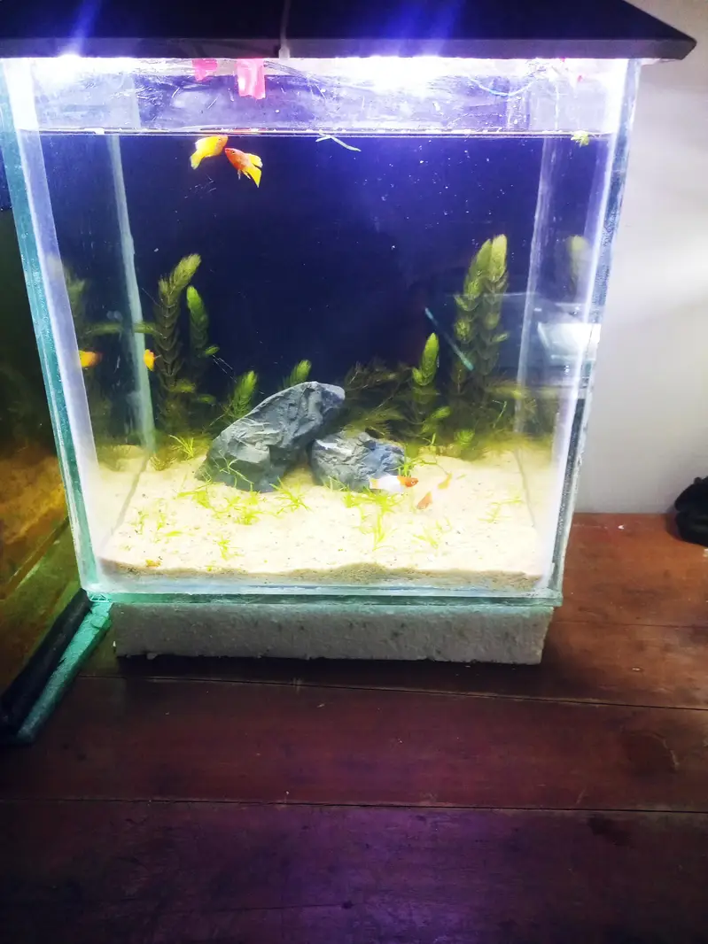 all size aquarium available and customer aquarium and set aquarium — photo 12