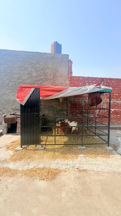 cage for animals