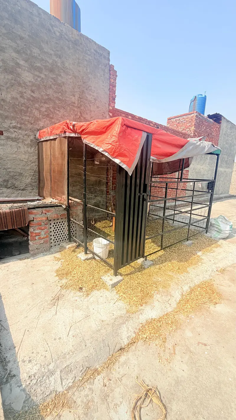 cage for animals — photo 2