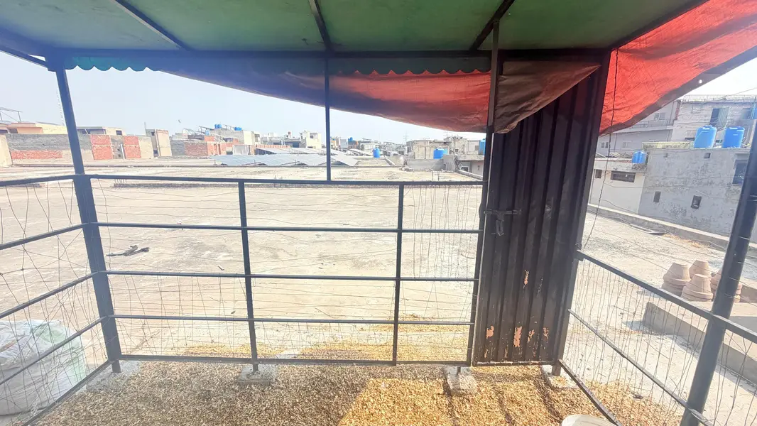 cage for animals — photo 4