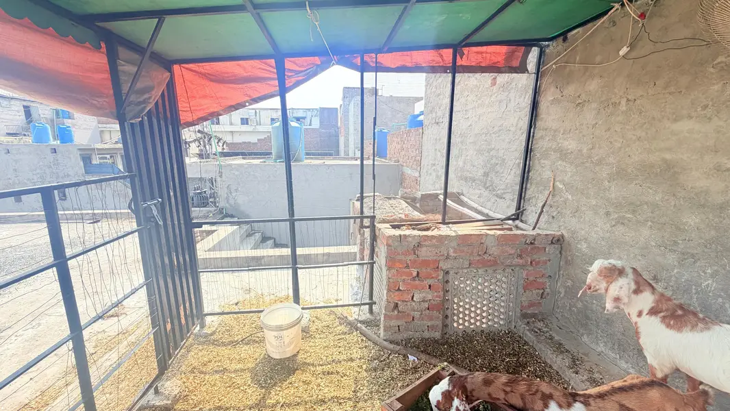 cage for animals — photo 5