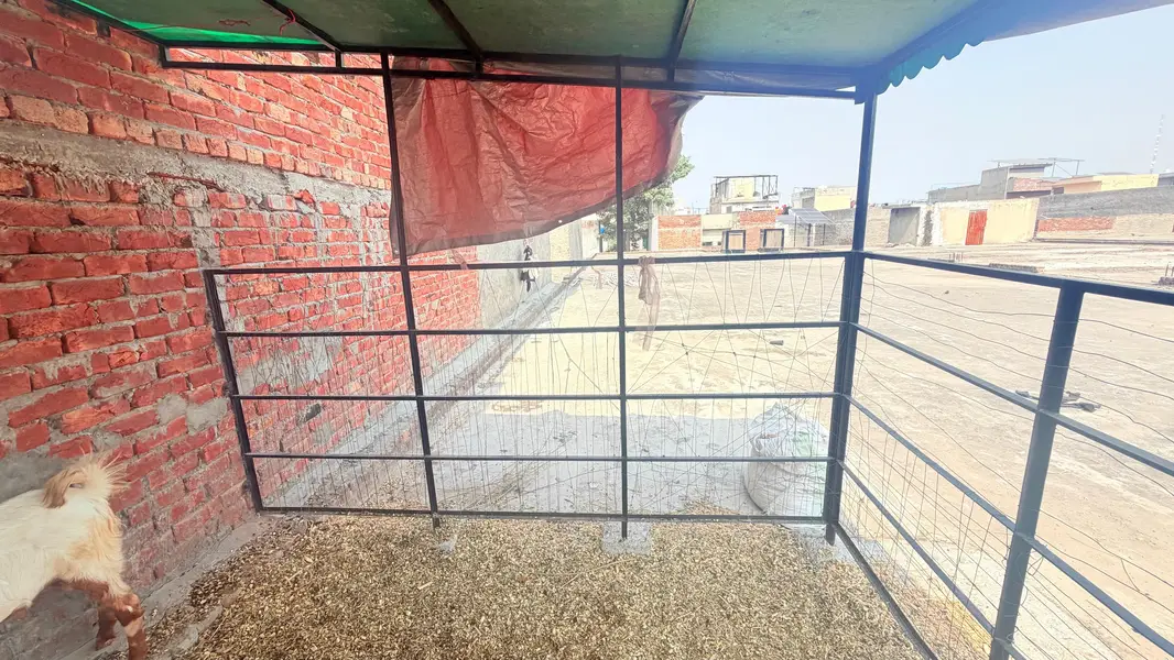 cage for animals — photo 6