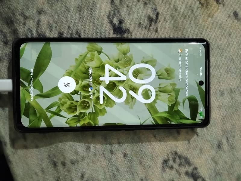 Google Pixel 6 Pro 1