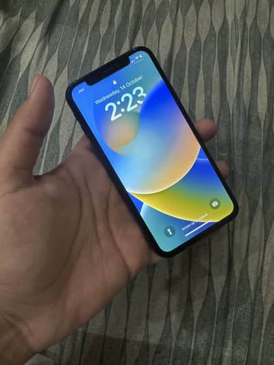 Apple iPhone X