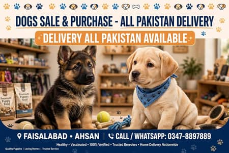 dog sale and purchased