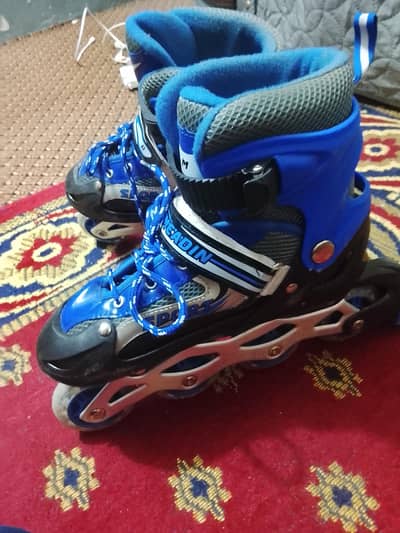 Blue Inline Skates - Used in Good Condition
