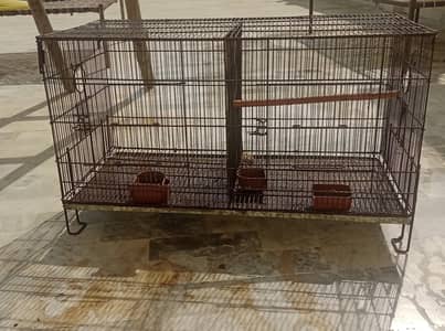 birds cage for sell