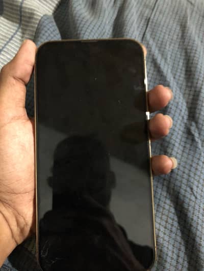 Apple iPhone 13 Pro Max MDM