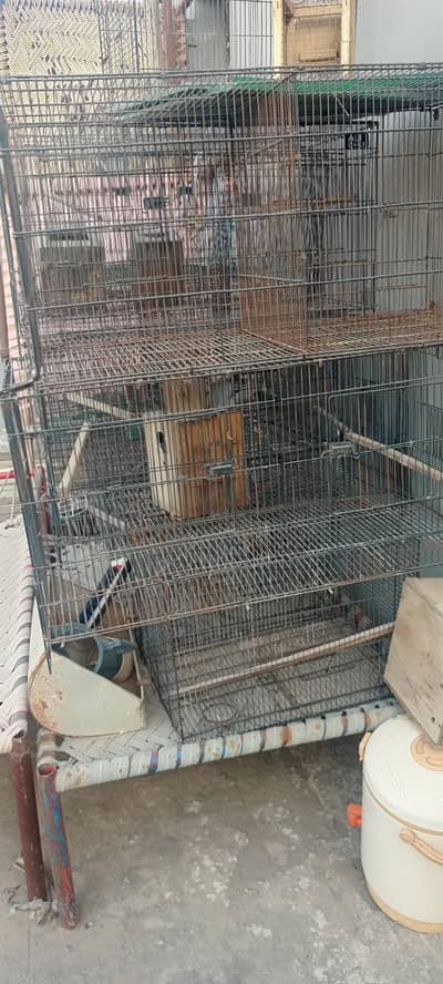 20 cage