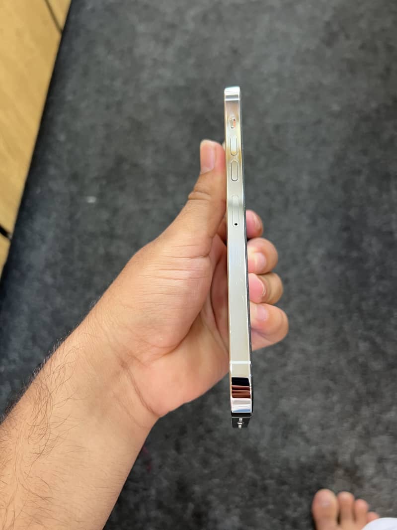 Apple iPhone 13 Pro Max 2