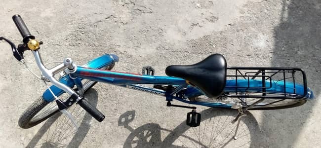 Genuine Bridgestone Bicycle – Excellent Condition