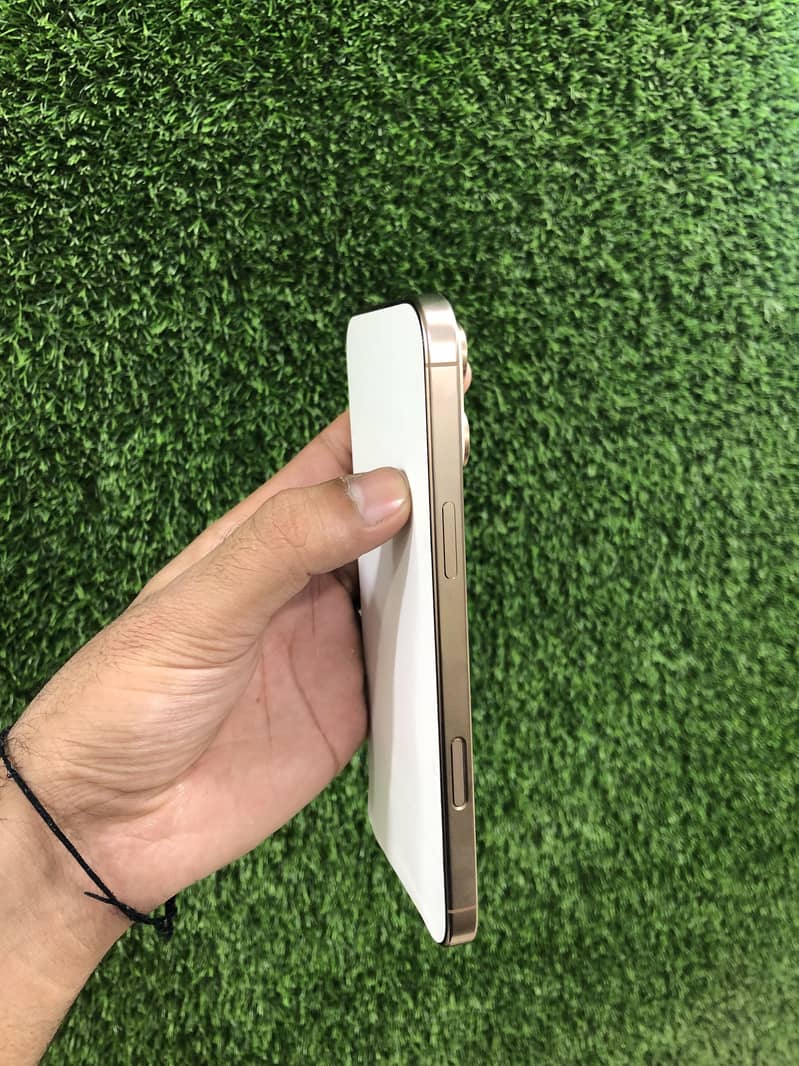 Apple iPhone 16 Pro Max 1