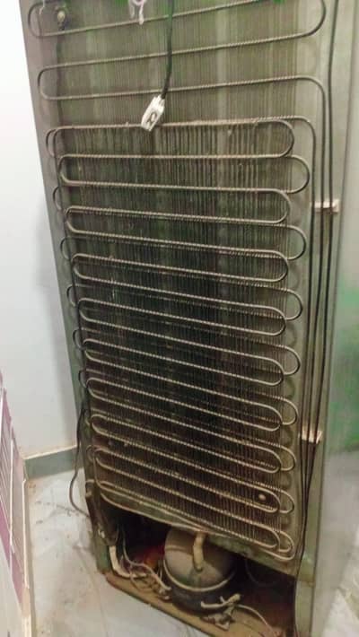 fridge