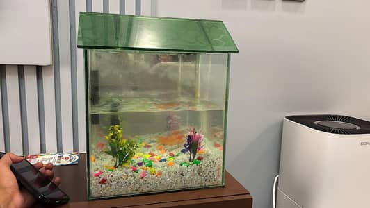 fish tank for sale With 3 fish