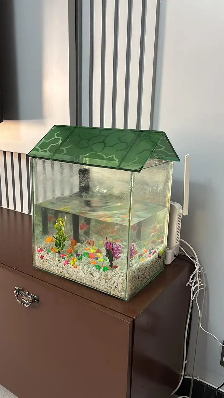 fish tank for sale With 3 fish — photo 2