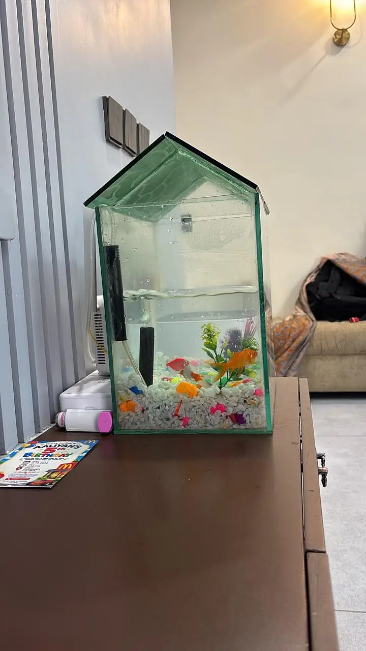fish tank for sale With 3 fish — photo 3