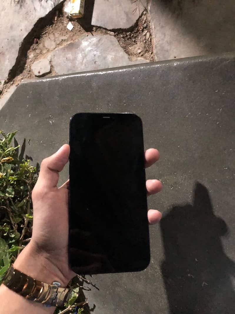 Apple iPhone 12 Pro Max 2